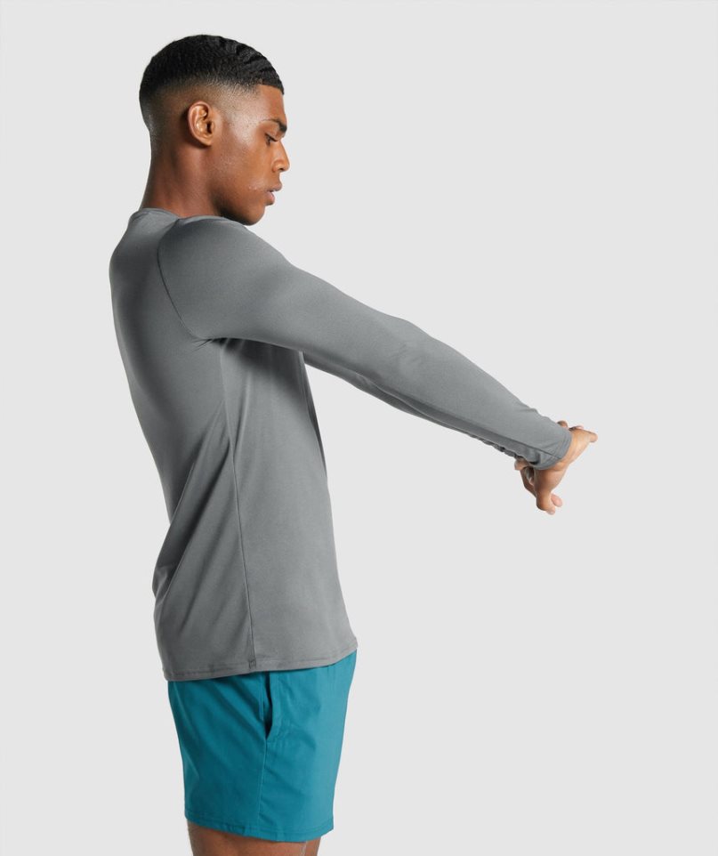 Koszulki Gymshark Arrival Long Sleeve Grafiką Męskie Szare | PL 251ADW